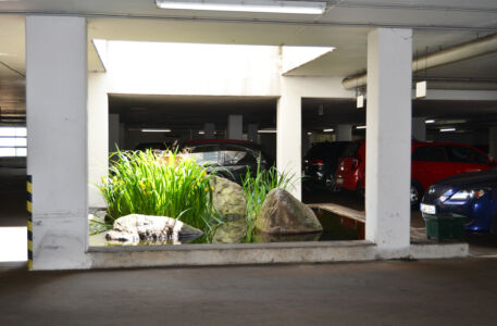 Entwurf für die Tiefgarage in Magdeburg. Die beim Ausschachten vorgefundene Findlinge passen wie gedacht in die Lichtöffnung. Lilien und Fische kamen hinzu.